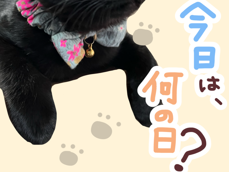 今年もこの日がやってきました😺